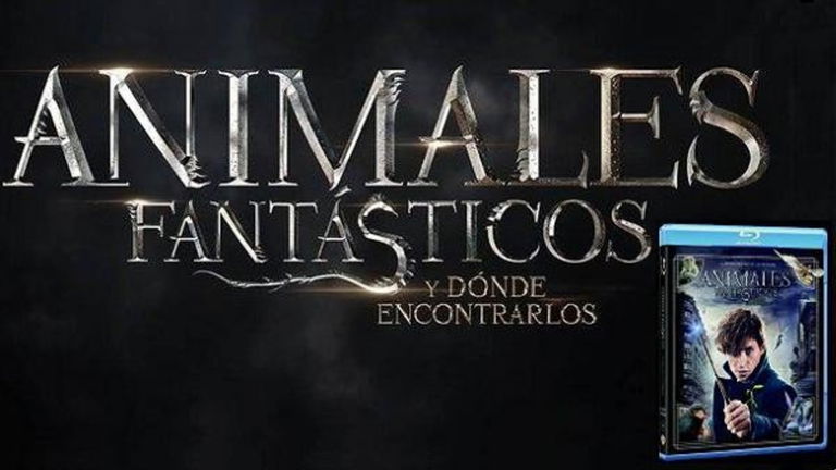 Animales Fantásticos y Dónde Encontrarlos: Análisis de la edición en Blu-ray