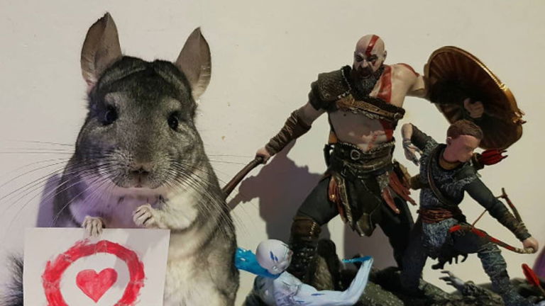 La mascota más jugona de Instagram es una chinchilla