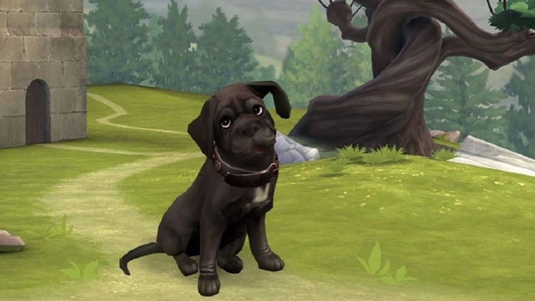 Harry Potter: Hogwarts Mystery revela quién le puso el nombre al perro de Hagrid