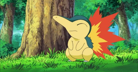 Esta era la línea evolutiva inicial del tipo fuego en Pokémon Oro y Plata, muy diferente a la de Cyndaquil