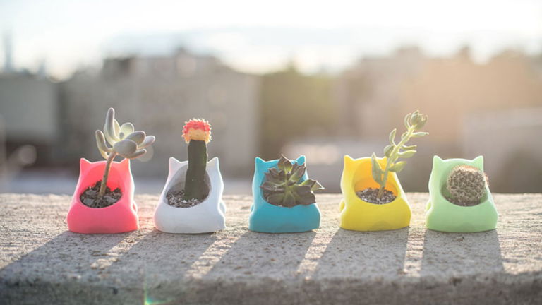 Las macetas de Pokémon que estabas esperando para dar vida a tus plantas