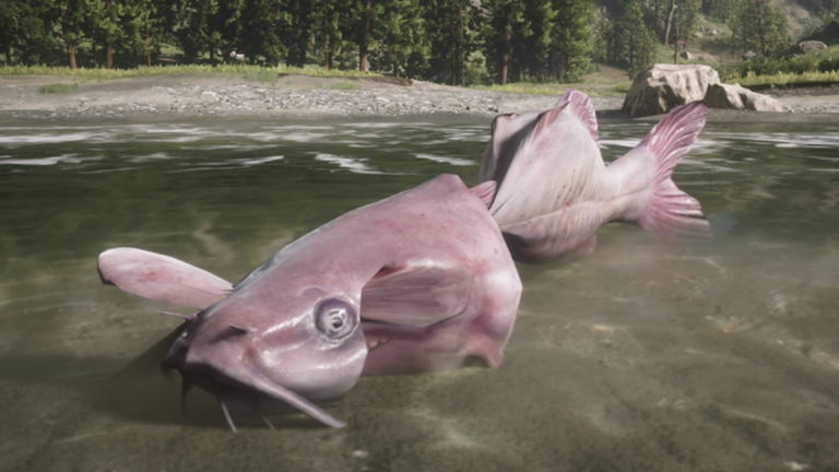 El correoso pez gato al fin ha conseguido ser pescado en Red Dead Redemption II