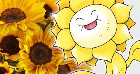 El diseño original del Pokémon Sunflora era dorado y surgía de la tierra