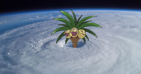 Pokémon: este es el escalofriante árbol mitológico que inspiró el diseño de Exeggutor