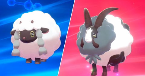 Pokémon inspirados en el mundo animal: Dubwool y Wooloo estarían basados en estas dos especies de ovejas