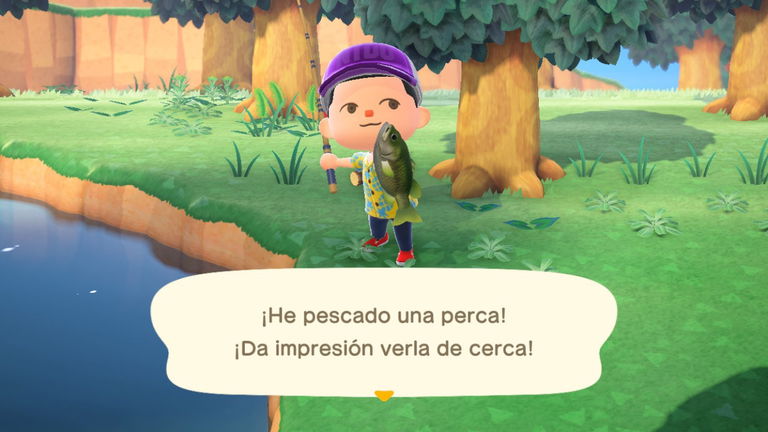 Animal Crossing: New Horizons - Todos los peces, dónde pescarlos y precios