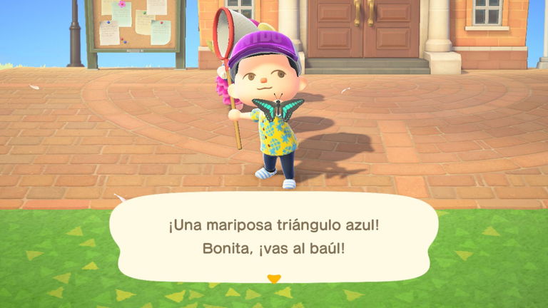 Animal Crossing: New Horizons - Todos los bichos que puedes capturar, ubicación y precios