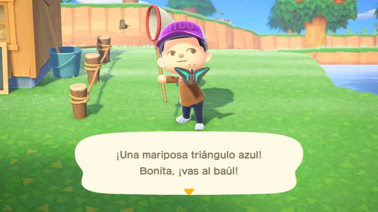 Animal Crossing: New Horizons - Dónde encontrar los bichos según el tipo