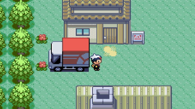 Un pez está jugando a Pokémon Rubí y ya ha completado dos Gimnasios