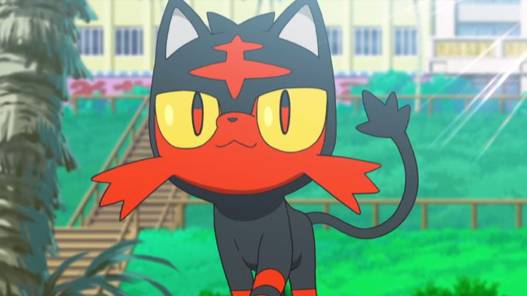 Un gato con un peluche del Pokémon Litten es lo más adorable que verás hoy