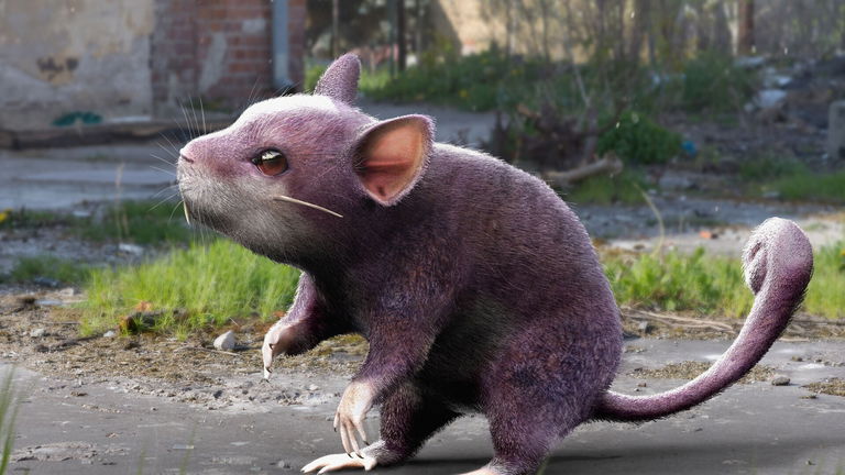 Fusionar al Pokémon Rattata con Ratatouille, una idea tan fantástica que debió existir mucho antes