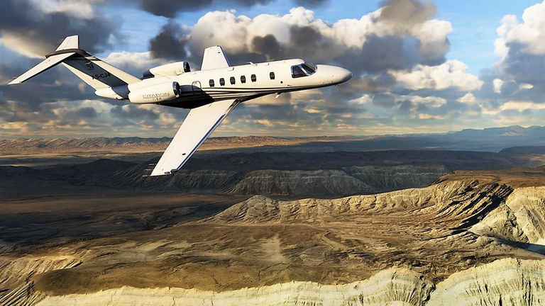 Cómo ver animales mientras vuelas en Microsoft Flight Simulator