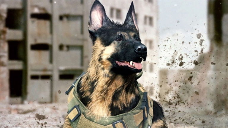 Enseña a su perro a jugar a Call of Duty y el resultado es sorprendente