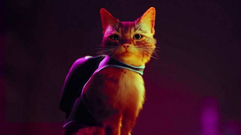 Stray, el juego de PS5 protagonizado por un gato, ofrece nuevos detalles