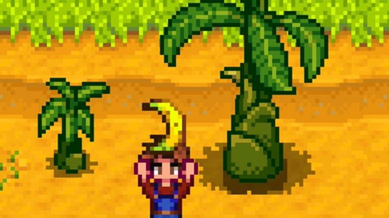 Todo lo que debes saber del jugador en Stardew Valley