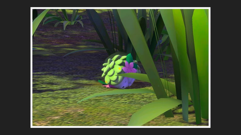 Dónde está Shaymin en New Pokémon Snap