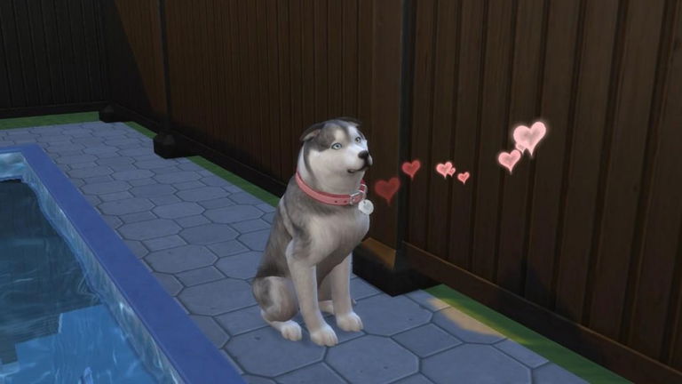 Los Sims 4: mis perros y gatos no entran a la casa