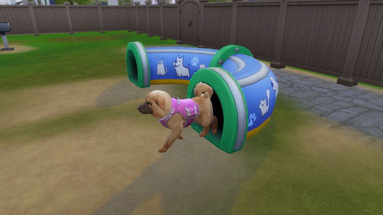 Cómo hacer que los perros tengan cachorros en Los Sims 4: Perros y Gatos