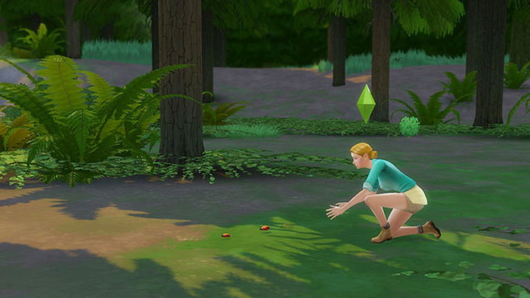 Cómo coleccionar todos los Insectos en Los Sims 4: De Acampada