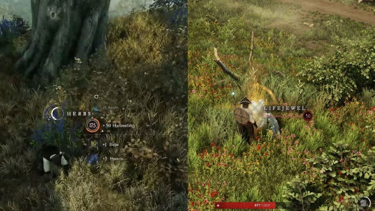 Qué son los arcanos del agua en New World