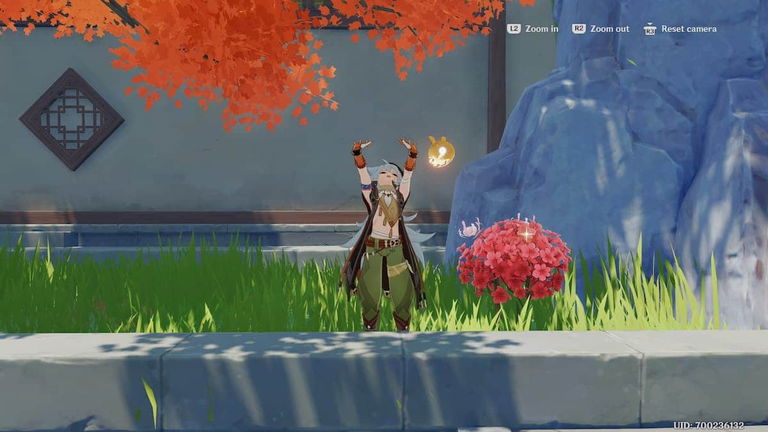 Qué es y para qué sirve la Flor de Seda en Genshin Impact