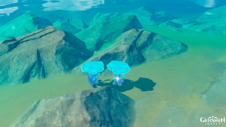 Genshin Impact: qué es el Hongo Marino y dónde conseguirlo
