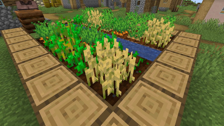 Este truco de Minecraft te permite conseguir cultivos de manera mucho más rápida