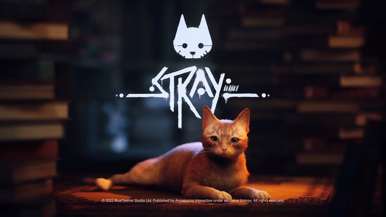 Los gatos están disfrutando de Stray incluso más que los propios jugadores