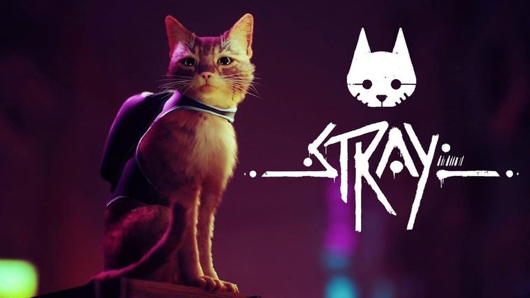 Análisis de Stray - El mejor amigo de un jugador