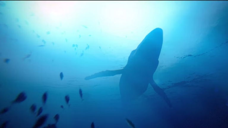 Así es Under the Waves, lo nuevo de Quantic Dream que llegará en 2023