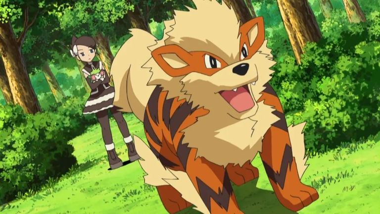 Un seguidor de Pokémon convirtió a su perro en Arcanine y no te vas a poder creer el resultado