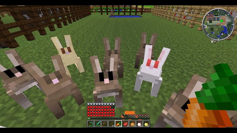 Minecraft: El incidente con estos adorables conejos no tiene desperdicio