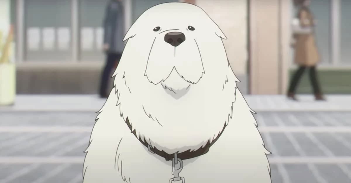 spy-x-family-reveals-the-name-anya-s-dog-was-going-to-have-and-it-s