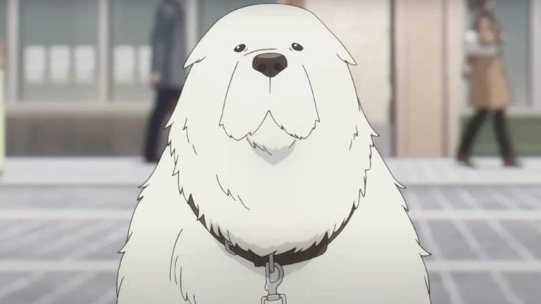 Spy x Family revela el nombre que iba a tener el perro de Anya y es genial