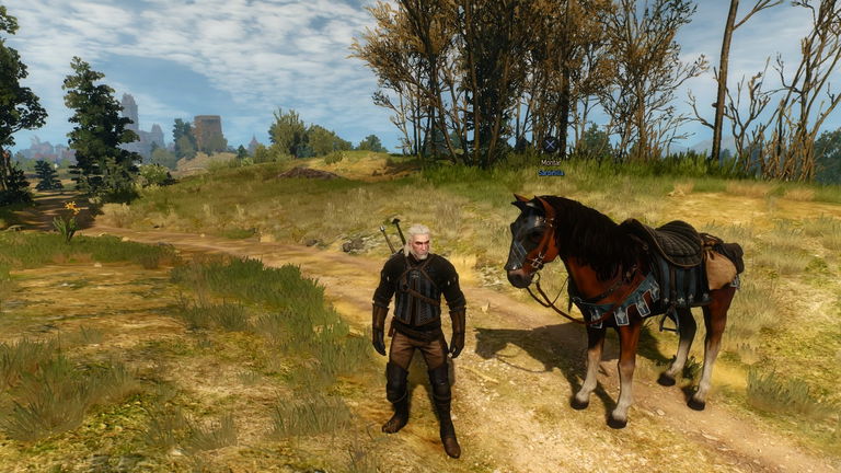 Encuentran un truco de The Witcher III con el que puedes acariciar a Sardinilla