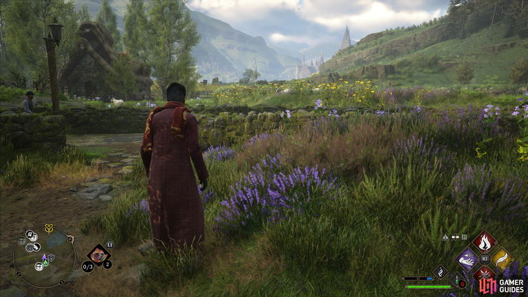 Brocburrow en Hogwarts Legacy: todas las actividades que puedes realizar en la aldea