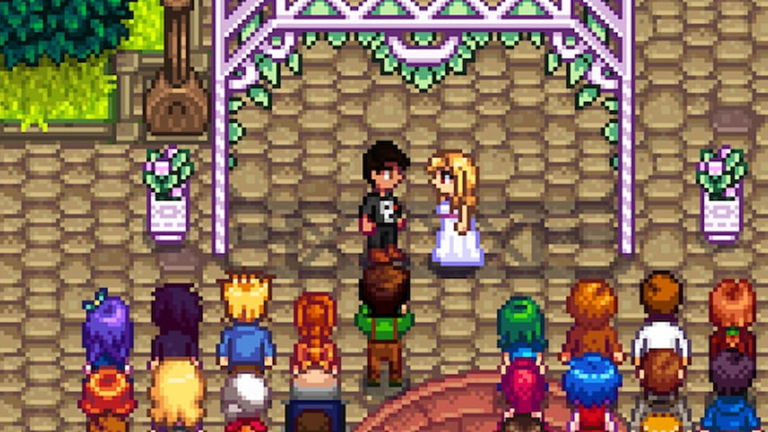 Una jugadora ha casado a 63 personajes en Stardew Valley y no tiene intención de parar