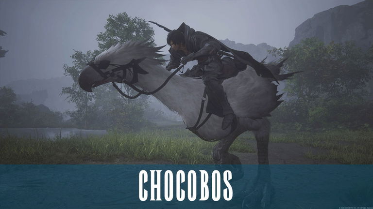 Cómo conseguir y utilizar el chocobo en Final Fantasy XVI