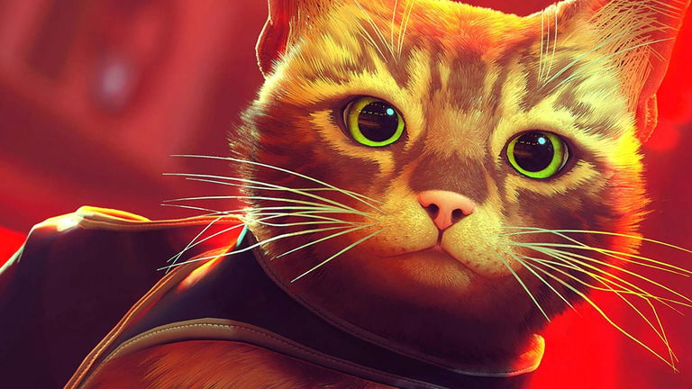 Stray confirma su lanzamiento para Xbox Series y Xbox One