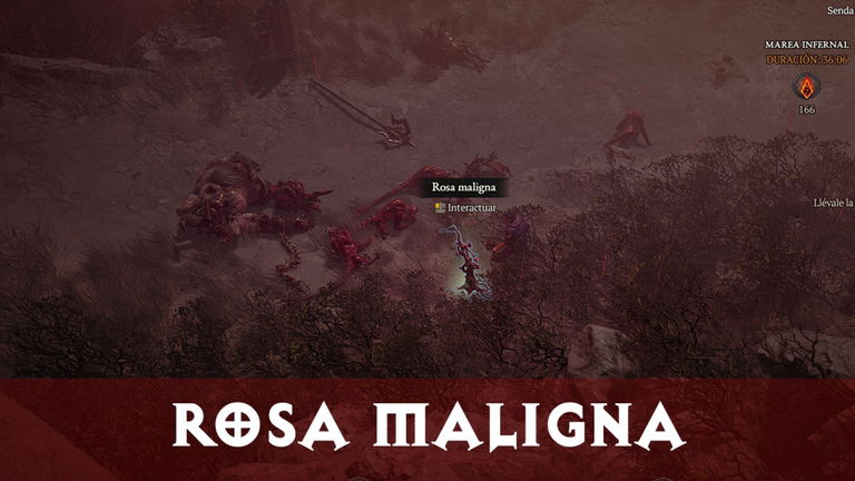 Cómo y dónde encontrar la rosa maligna en Diablo 4