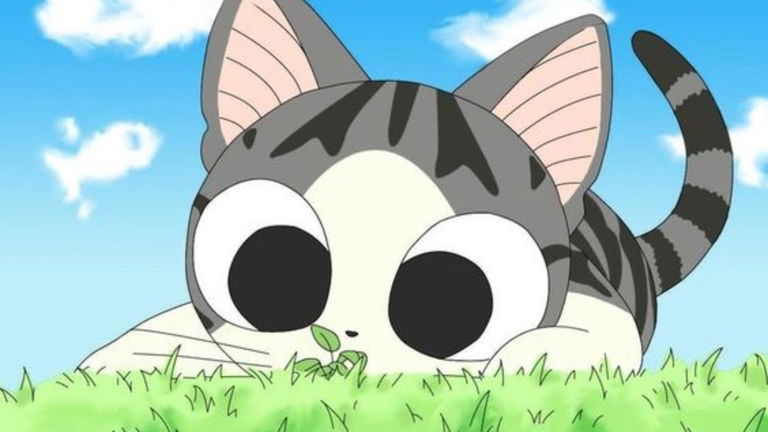 Los 4 mejores anime de gatos