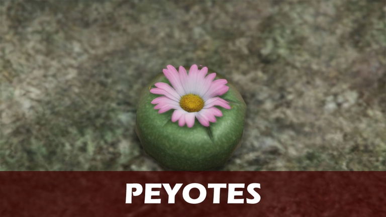 Dónde encontrar todos los peyotes en GTA Online