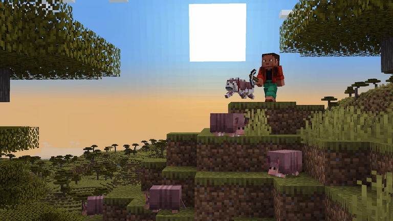 Los jugadores de Minecraft piden este cambio para los armadillos