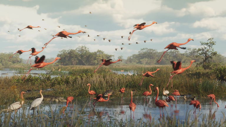 Estos son todos los animales confirmados en GTA VI hasta el momento
