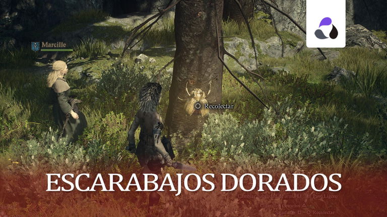 Dragon's Dogma 2: todos los escarabajos dorados y dónde encontrarlos