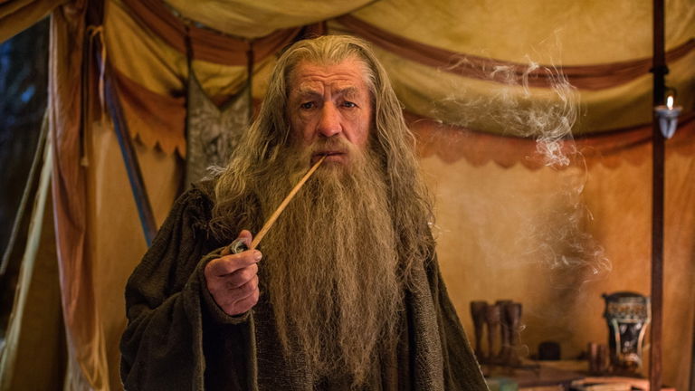 El actor de Gandalf casi interpreta a Dumbledore en Harry Potter, pero no lo hizo por esta razón