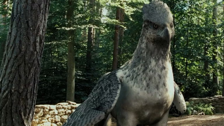 5 curiosidades de Buckbeak de Harry Potter que seguro no conocías