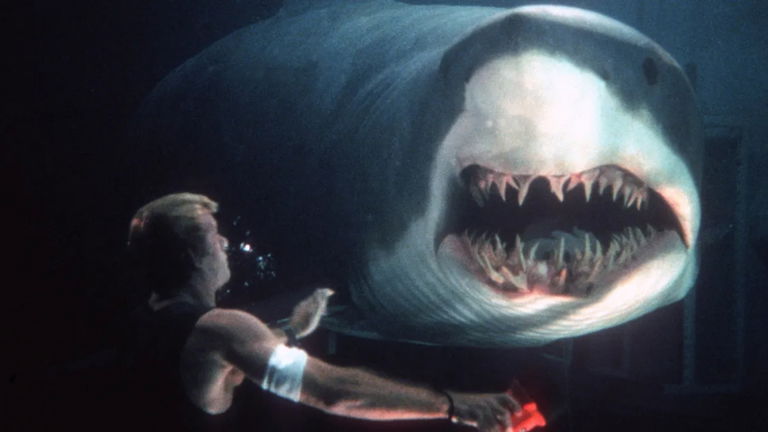 Open Water fue inspirada en un aterrador encuentro con un tiburón real
