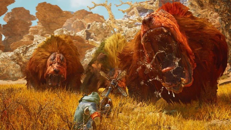 Descubren una nueva araña y le dan el nombre de una criatura de Monster Hunter