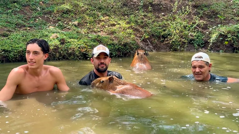 Frank Cuesta e IlloJuan se toman a risa las acusaciones de maltrato animal al andaluz: "El Santuario del maltrato"